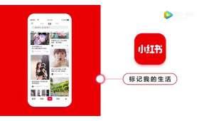 大学生校园创业点子及其潜力探讨 大学生校园创业点子及其潜力探讨